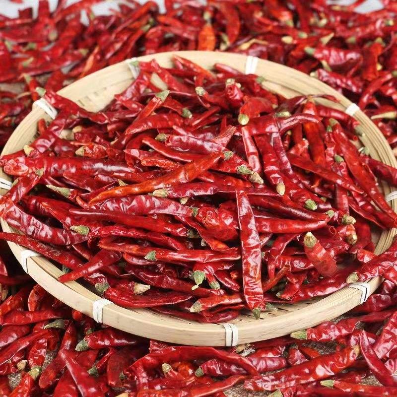 Wholesale Factory Spice Supplier Dried Red Chili Pepper Chilies Dry Red Chili