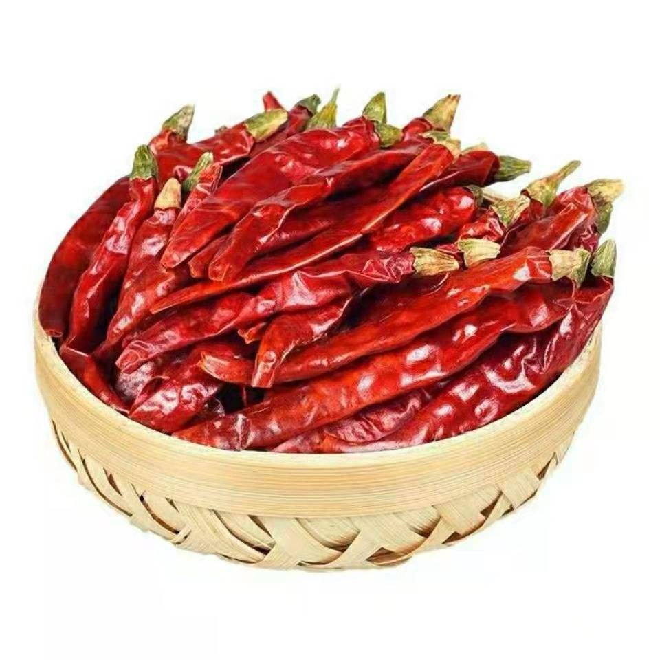 Wholesale Factory Spice Supplier Dried Red Chili Pepper Chilies Dry Red Chili