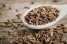 Dried Raw 100% Cumin Seeds Bulk Jeera Spice Masala Blending Seasoning Sortex Cleaned High Aroma 18 Months Shelf Life Export