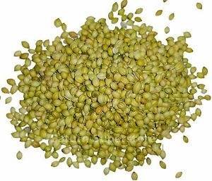 Indian Parrot Quality Coriander Raw AD Dried Whole Green Strong Taste Full Fragrance Wholesale