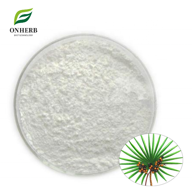 Factory Supply Natural Premium Saw Palmetto Berry Extract Palm Fatty Acid 45% Fatty Acids Powder
