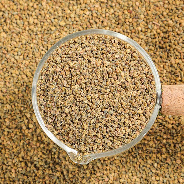 Best Price Bulk Dill Seeds Kitchen Spice Dill Seed Seasonings and Spices