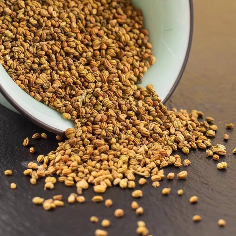 Best Price Bulk Dill Seeds Kitchen Spice Dill Seed Seasonings and Spices
