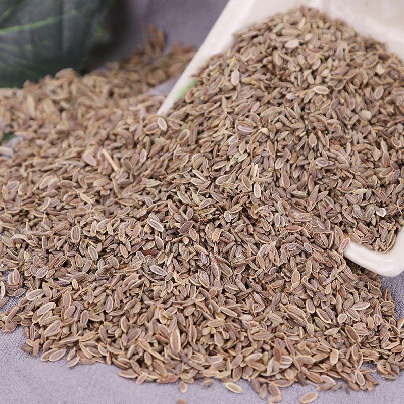 Factory Price Dried Anethum Graveolens High Quality Single Spices Seasoning Dry Dill Seeds