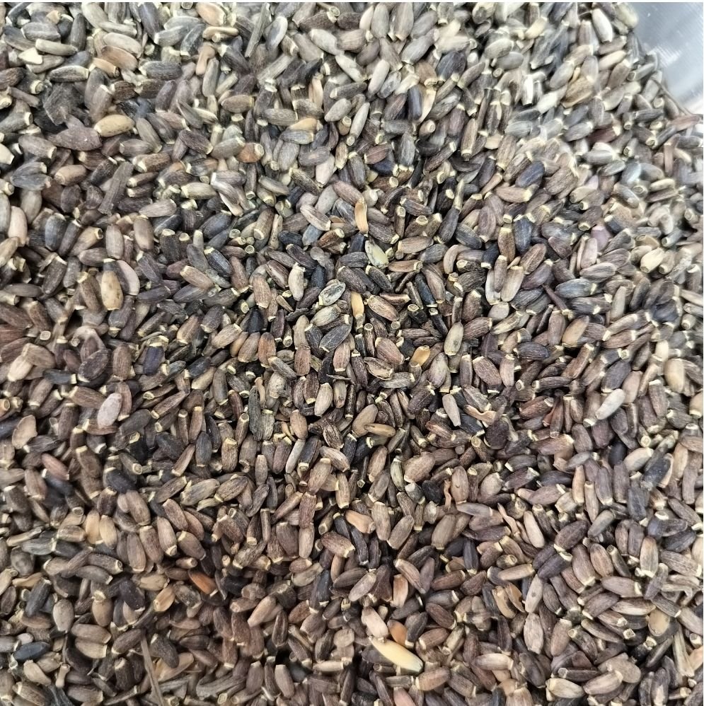 Factory Price Dried Milk Thistle Seeds Chinese Herbal Healthy Silymarin Seeds
