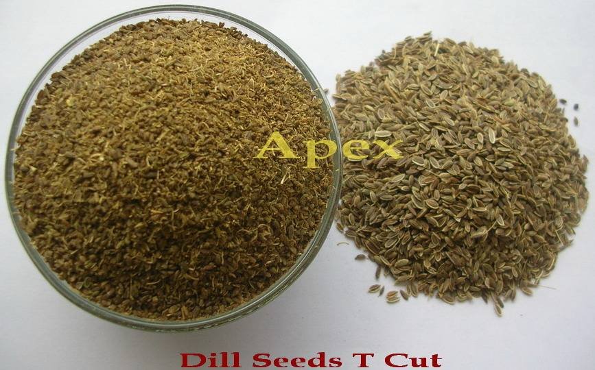 Dill Seeds (Anthem Graveolens) Food Grade 25kg Bags Indian Herb & Spice