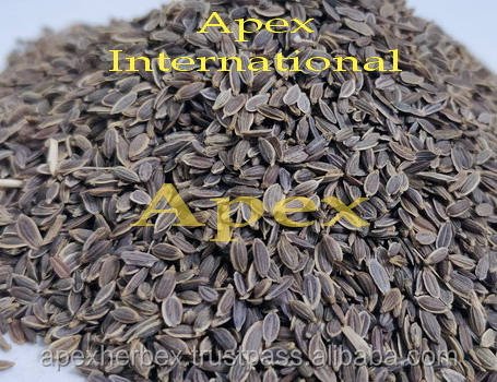 HIgh Quality Dill Seeds Anthem Graveolens Sortex Cleaned Dill Seed for Consumption Bulk India Export At Wholesale Price