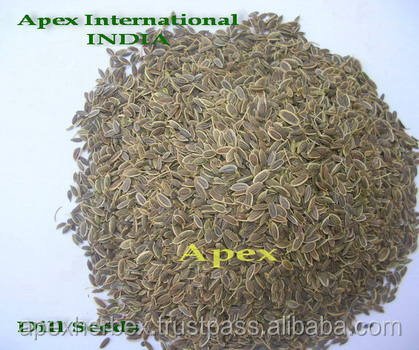 HIgh Quality Dill Seeds Anthem Graveolens Sortex Cleaned Dill Seed for Consumption Bulk India Export At Wholesale Price