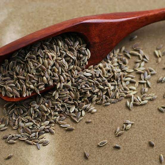 Wholesale Dill Seeds Premium Quality Natural Suva Seeds Aromatic Spice With Fresh Flavor For Cooking Seasoning Bulk India Export