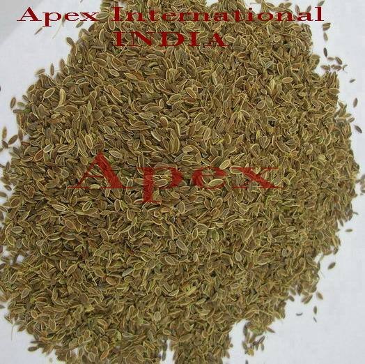 Indian Spice Dill Seeds (Anthem Graveolens) Food Grade 25kg Bags