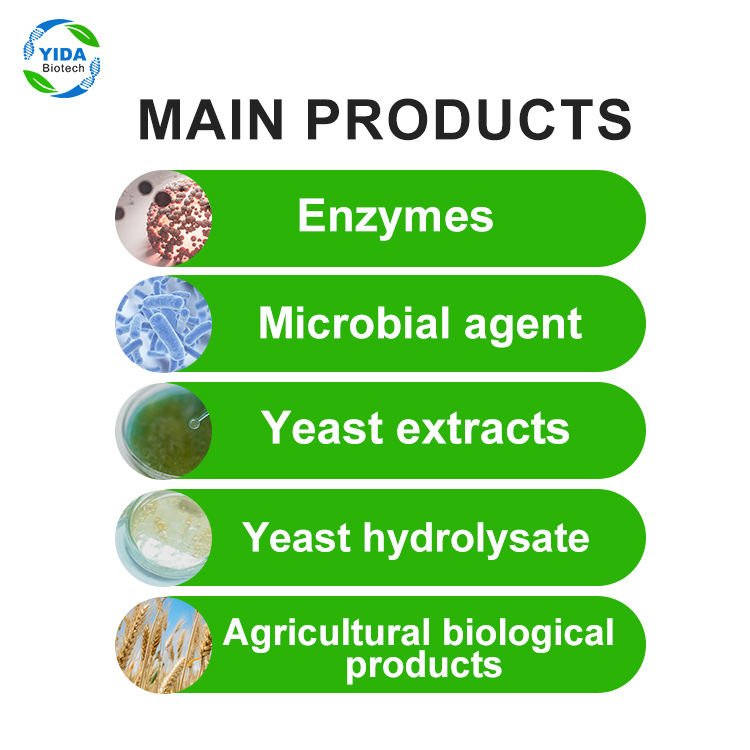 YIDA Biotech Lysozyme High-Temperature Starch Enzyme for Textile Desizing & Washing Process 12-Month Shelf Life Auxiliary Agent