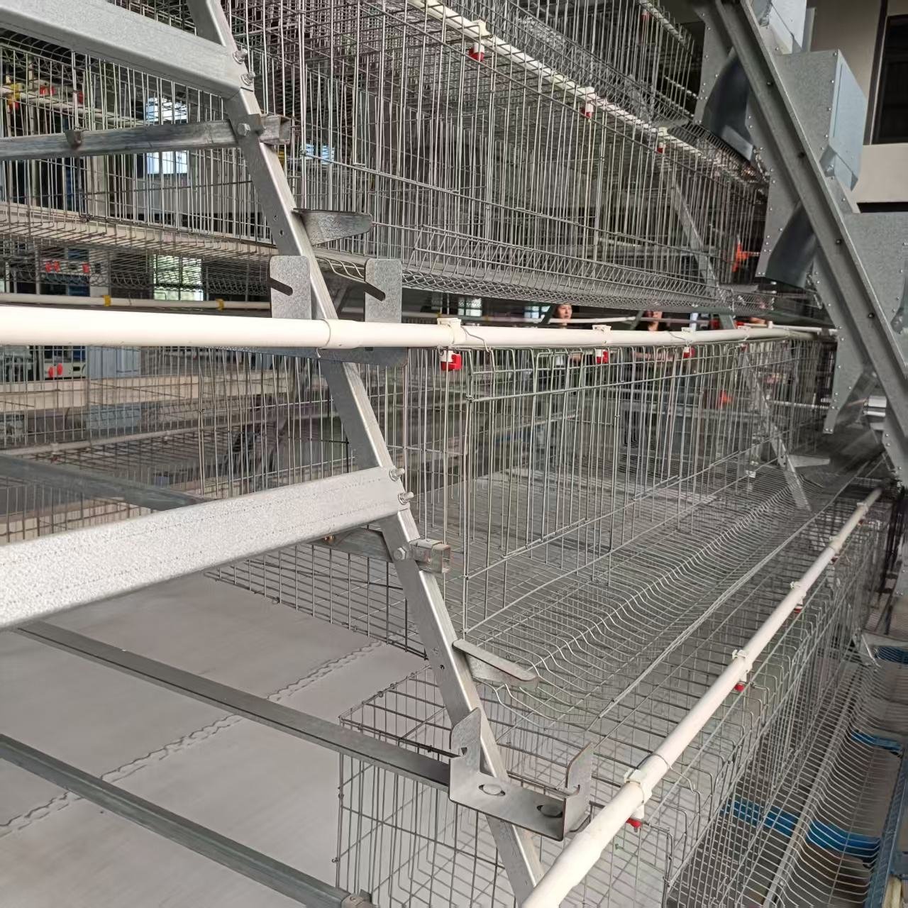 New Animal Husbandry Equipment Tiers Chicken Cage with Manure Belt Galvanized Steel Construction Low Noise for Farm Use