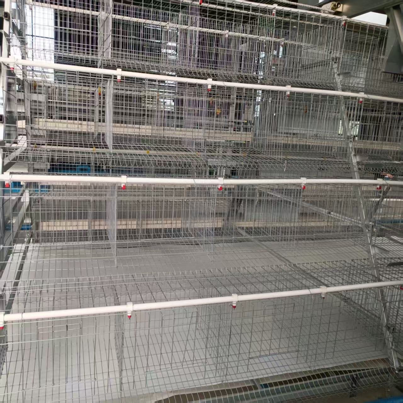 New Animal Husbandry Equipment Tiers Chicken Cage with Manure Belt Galvanized Steel Construction Low Noise for Farm Use