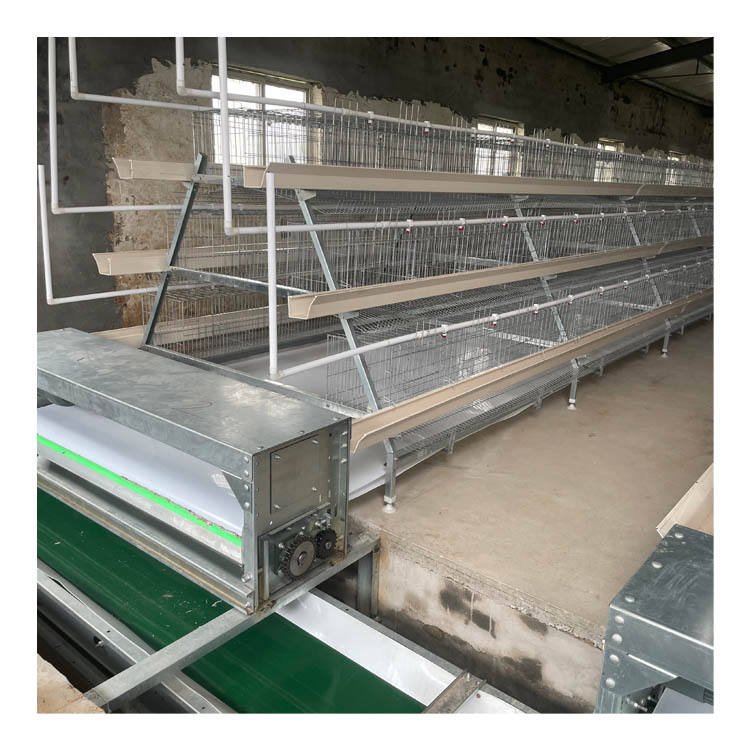 10000 Layers Hot-dip Galvanized Poultry Farm Modern a Type Egg Chicken Layer Battery Cage for Sale