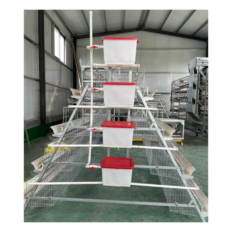 10000 Layers Hot-dip Galvanized Poultry Farm Modern a Type Egg Chicken Layer Battery Cage for Sale