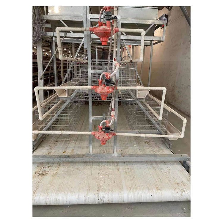10000 Layers Hot-dip Galvanized Poultry Farm Modern a Type Egg Chicken Layer Battery Cage for Sale