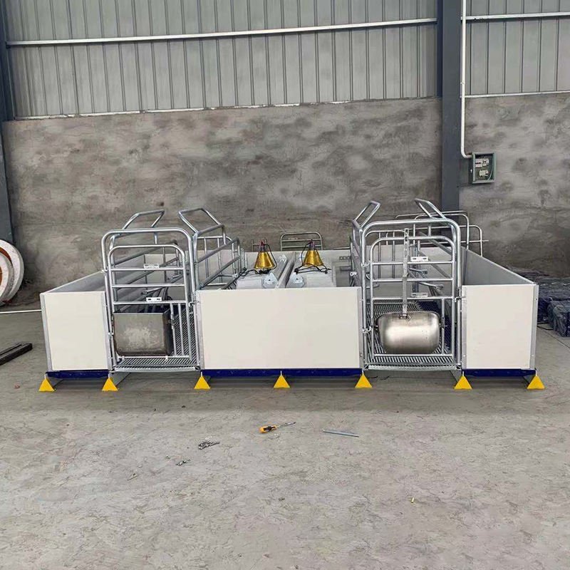 Pig Breeding Equipment of Sow Farm in Delivery Shed