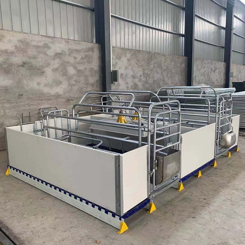 Pig Breeding Equipment of Sow Farm in Delivery Shed