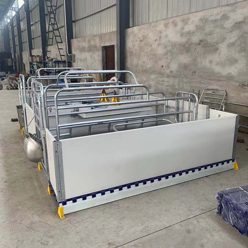 Pig Breeding Equipment of Sow Farm in Delivery Shed