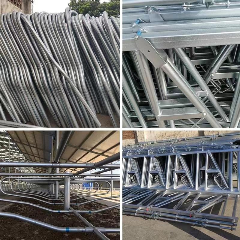 Complete Set of Equipment for Raising Cattle Neck Flail Breeding Can Be Customized As Needed