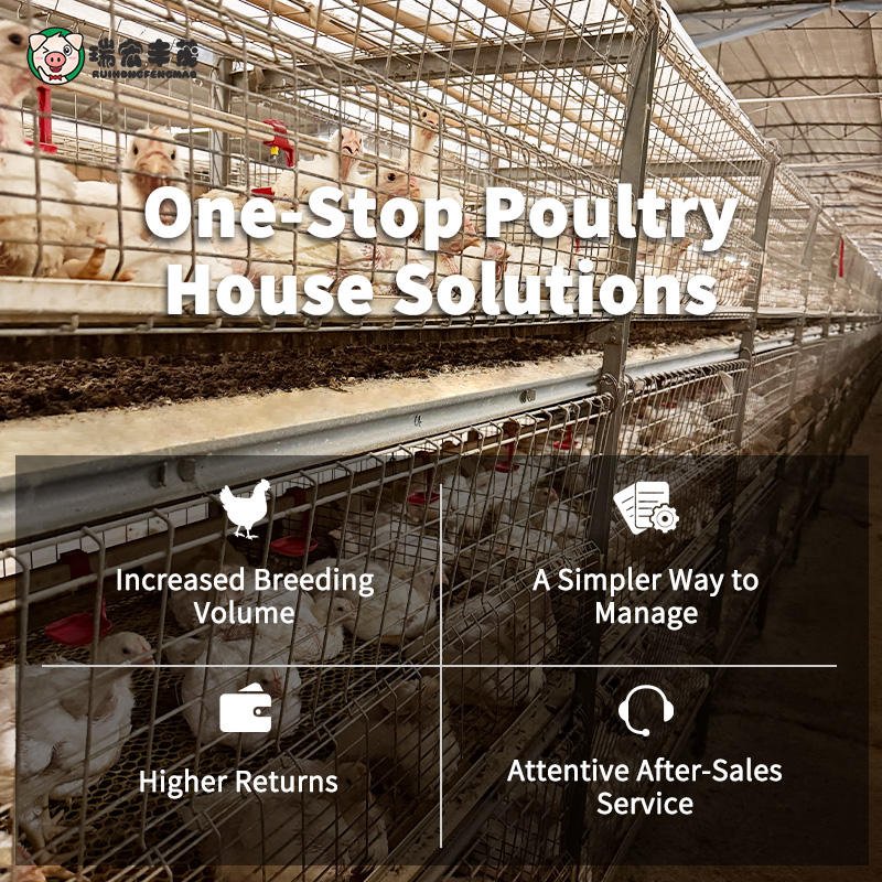 Automatic H Type Broiler Poultry Farm Equipment New Condition Chicken Coop Boiler Chicken Cage