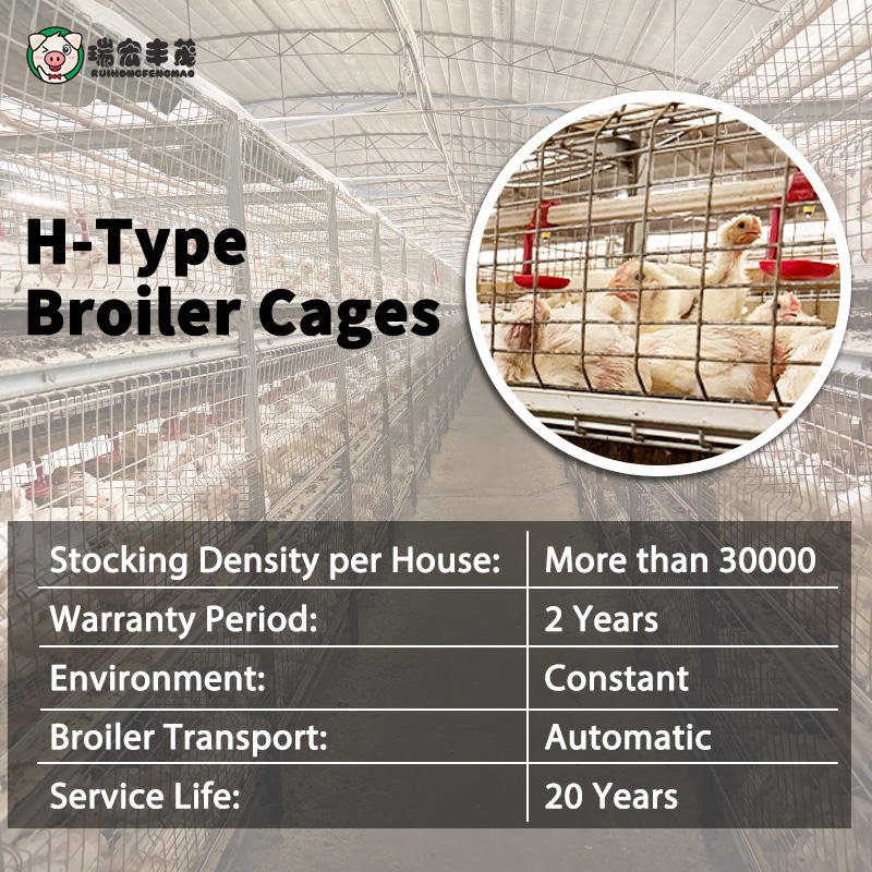 Automatic H Type Broiler Poultry Farm Equipment New Condition Chicken Coop Boiler Chicken Cage