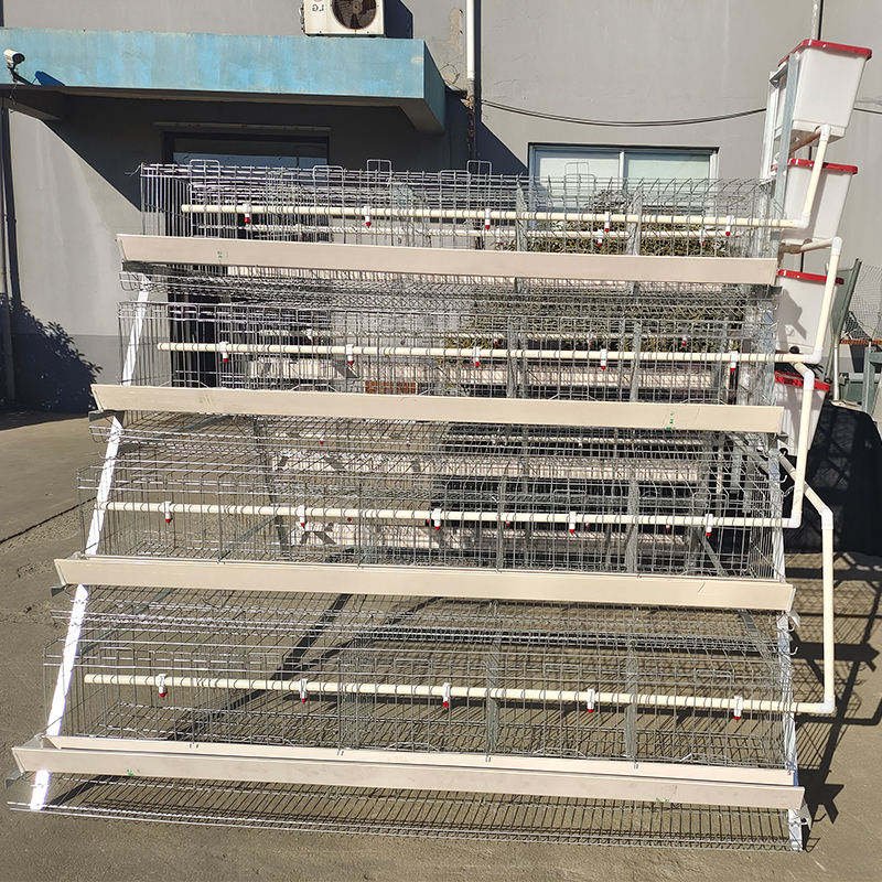 New Automatic Galvanized Steel A-Type Layer Battery Cage with Flexible Manufacturing for Egg Laying Hens and Chicken Farming
