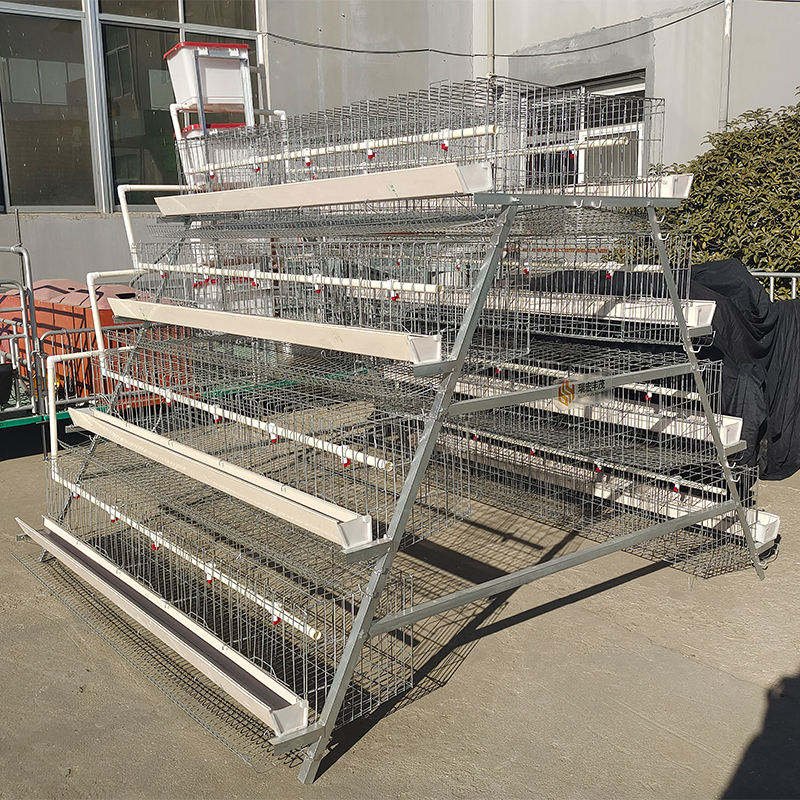 New Automatic Galvanized Steel A-Type Layer Battery Cage with Flexible Manufacturing for Egg Laying Hens and Chicken Farming