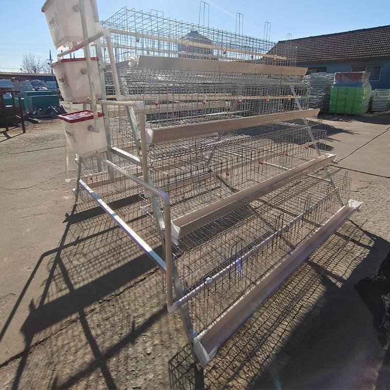 New Automatic Galvanized Steel A-Type Layer Battery Cage with Flexible Manufacturing for Egg Laying Hens and Chicken Farming