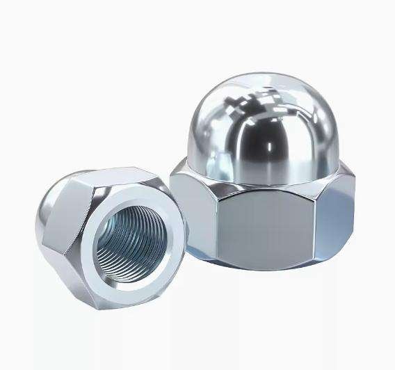 Cap Nuts DIN1578 Ine Tooth Reverse Tooth Decorative Cap Decorative Nuts Dust Resistant Nuts