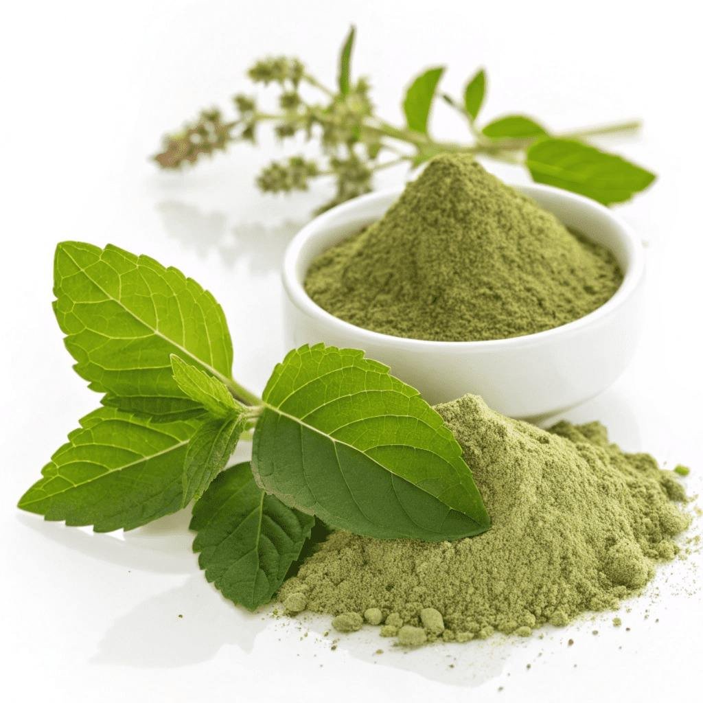 High on Demand 100% Natural Tulsi Powder Organic Ayurvedic Herbal Powder for Immunity Stress Relief and Overall Wellness