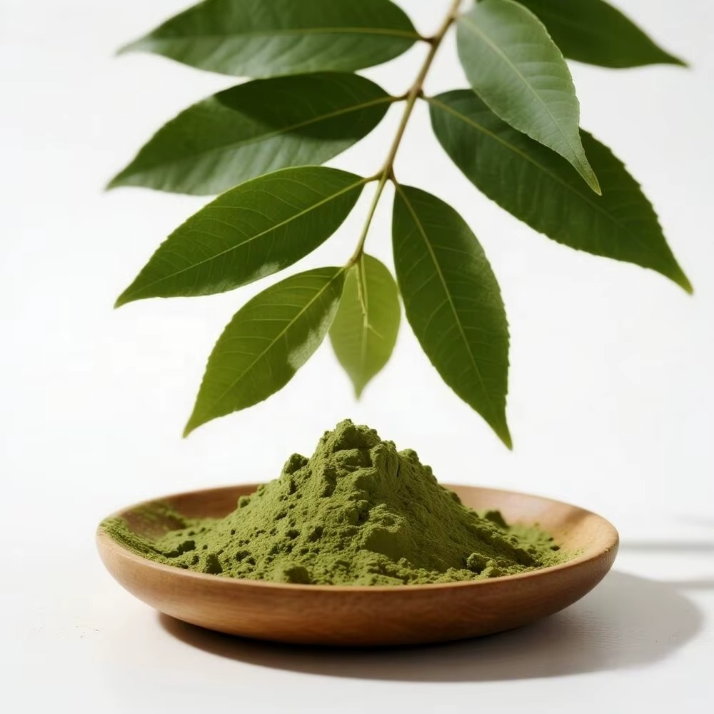 Pure Organic Neem Powder for Face Mask Skin Care and Hair Growth Natural Herbal Supplement Ayurvedic Beauty Powder Bulk 1lb
