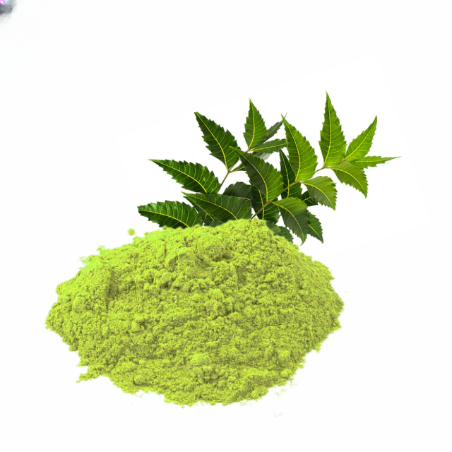 Bulk Organic Neem Leaf Powder Pure Herbal Supplement for Immune Support and Blood Purifier Natural Detox Ayurvedic Herb 1kg