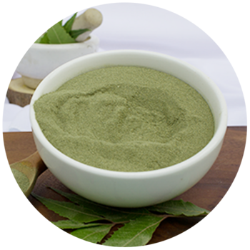 Premium Micro Fine Neem Powder for Anti Aging Face Mask and Glowing Complexion Organic Ayurvedic Herb