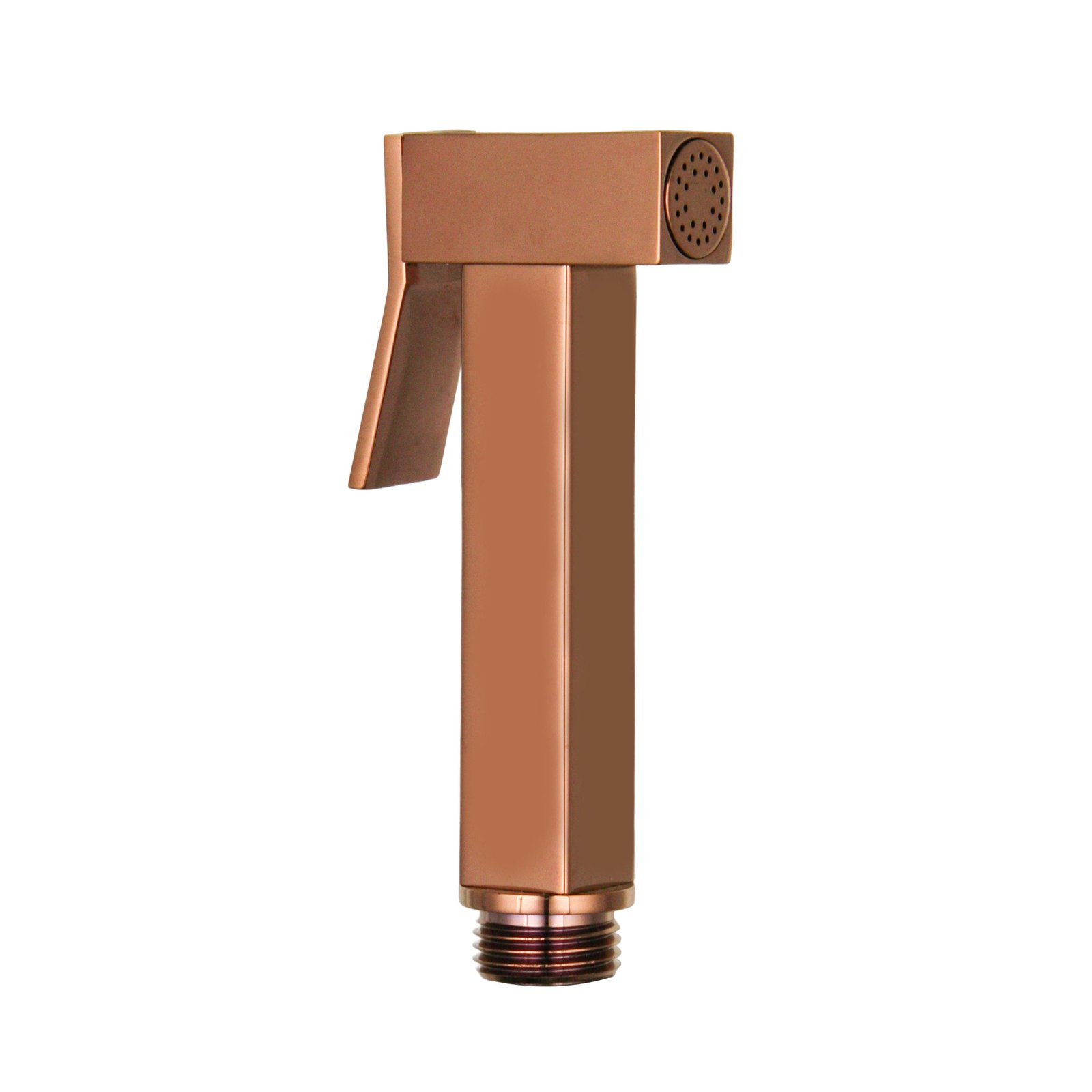 High Quality Modern Design Bathroom Brass Wall Mounted Single Handle Hot/Cold Water Multi-Function Handheld Shattaf Bidet