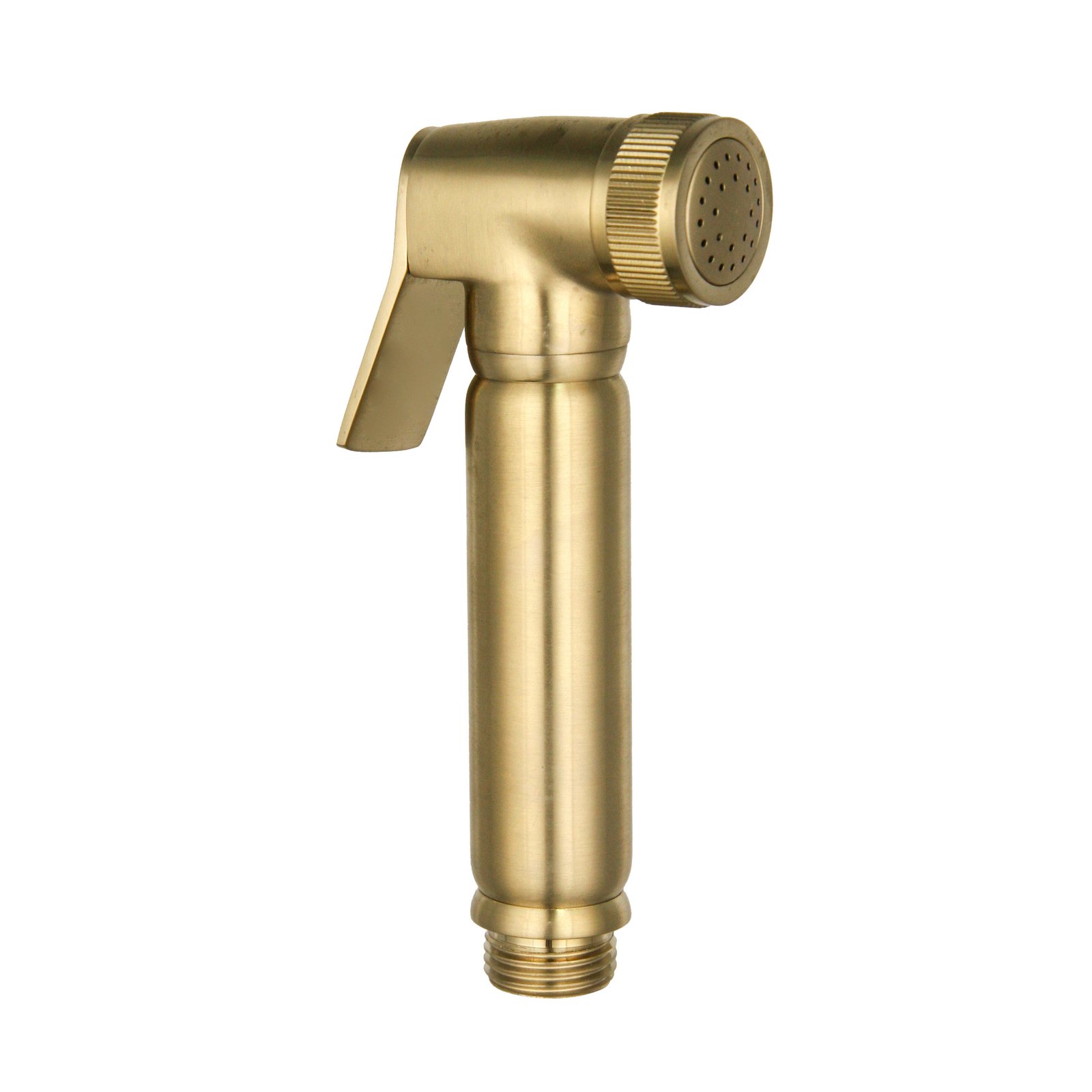YISHUI High Quality Modern Multi-Function Bathroom Brass Single Handle Wall-Mounted Handheld Hot/Cold Brushed Gold Women Bidet