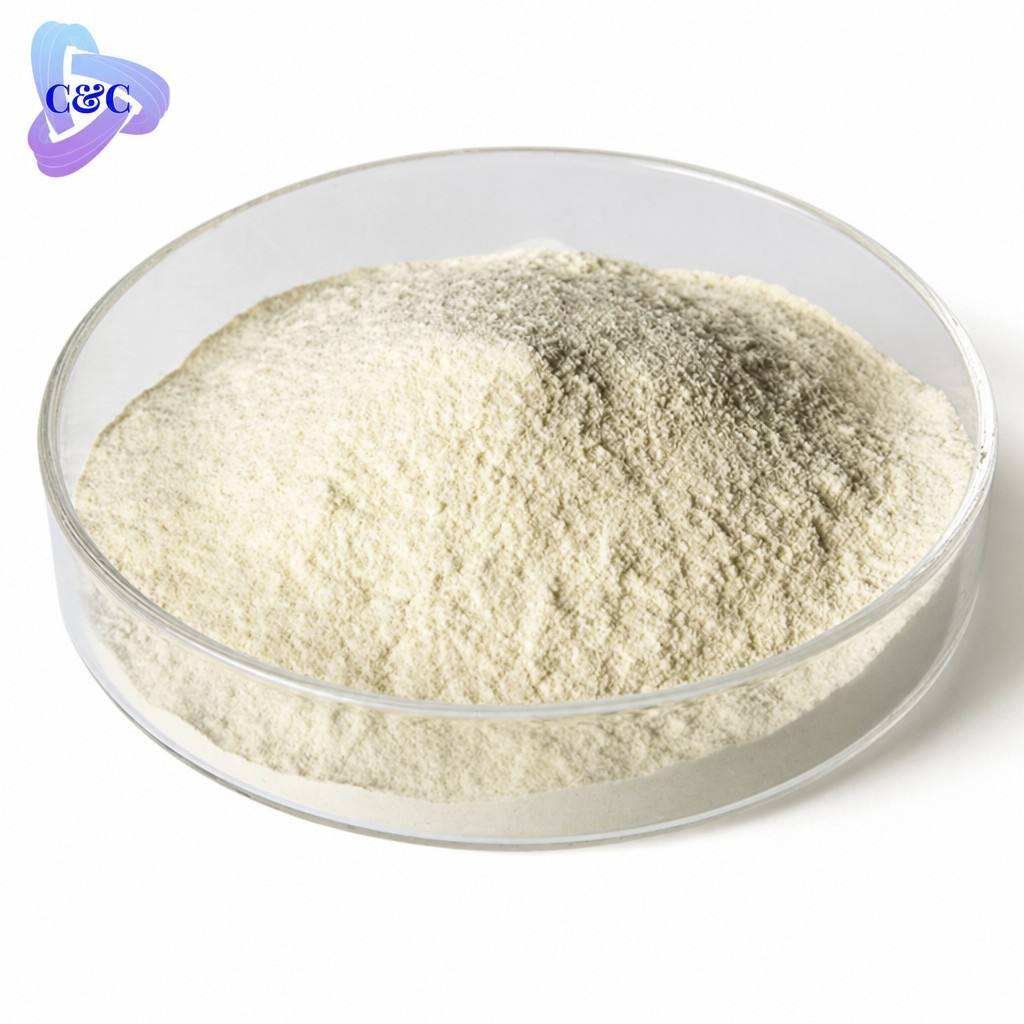 20,000 - 100,000 U/g Alpha Amylase Enzyme CAS 9000-90-2 Starch Hydrolysis Enzyme Powder for Baking, Brewing & Food Processing
