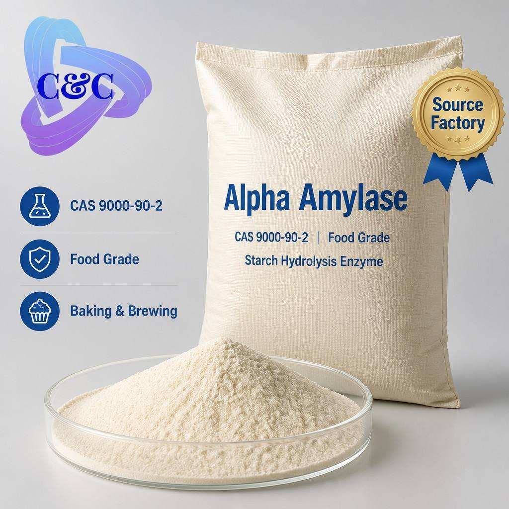 20,000 - 100,000 U/g Alpha Amylase Enzyme CAS 9000-90-2 Starch Hydrolysis Enzyme Powder for Baking, Brewing & Food Processing