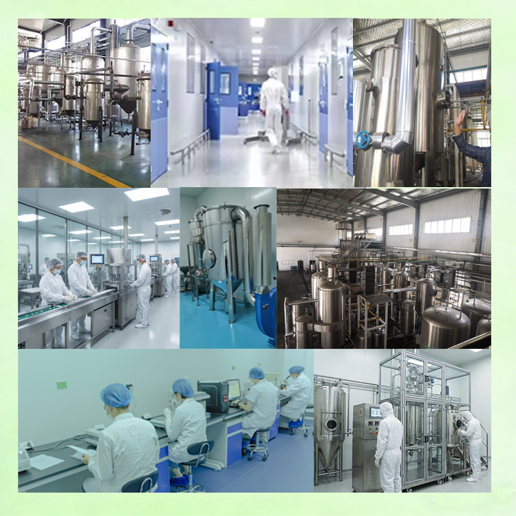 Food Grade Alpha Amylase Enzyme Powder for Beer Brewing and Distillery Industry