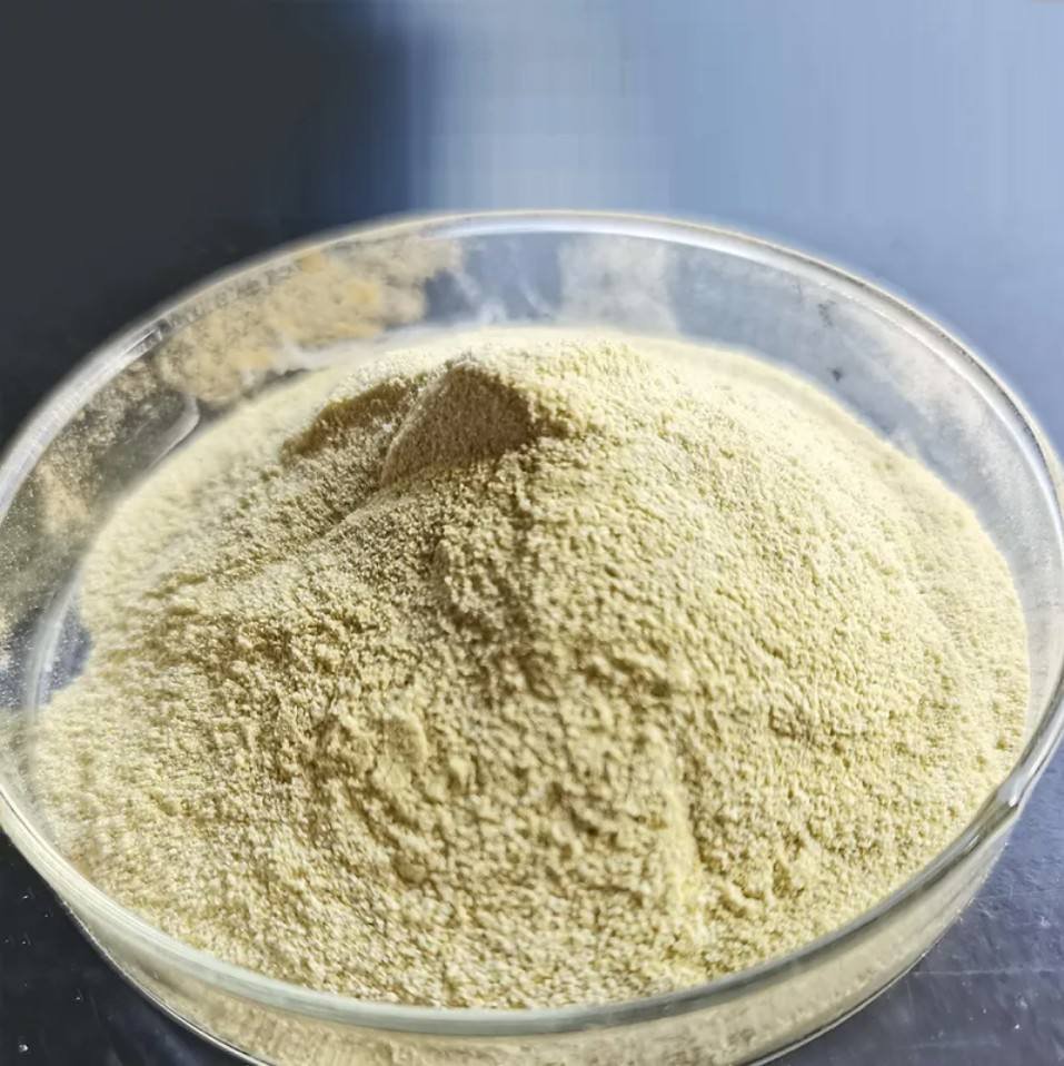 Food Grade Fungal Alpha Amylase Enzyme Powder for Baking Brewing and Starch Processing