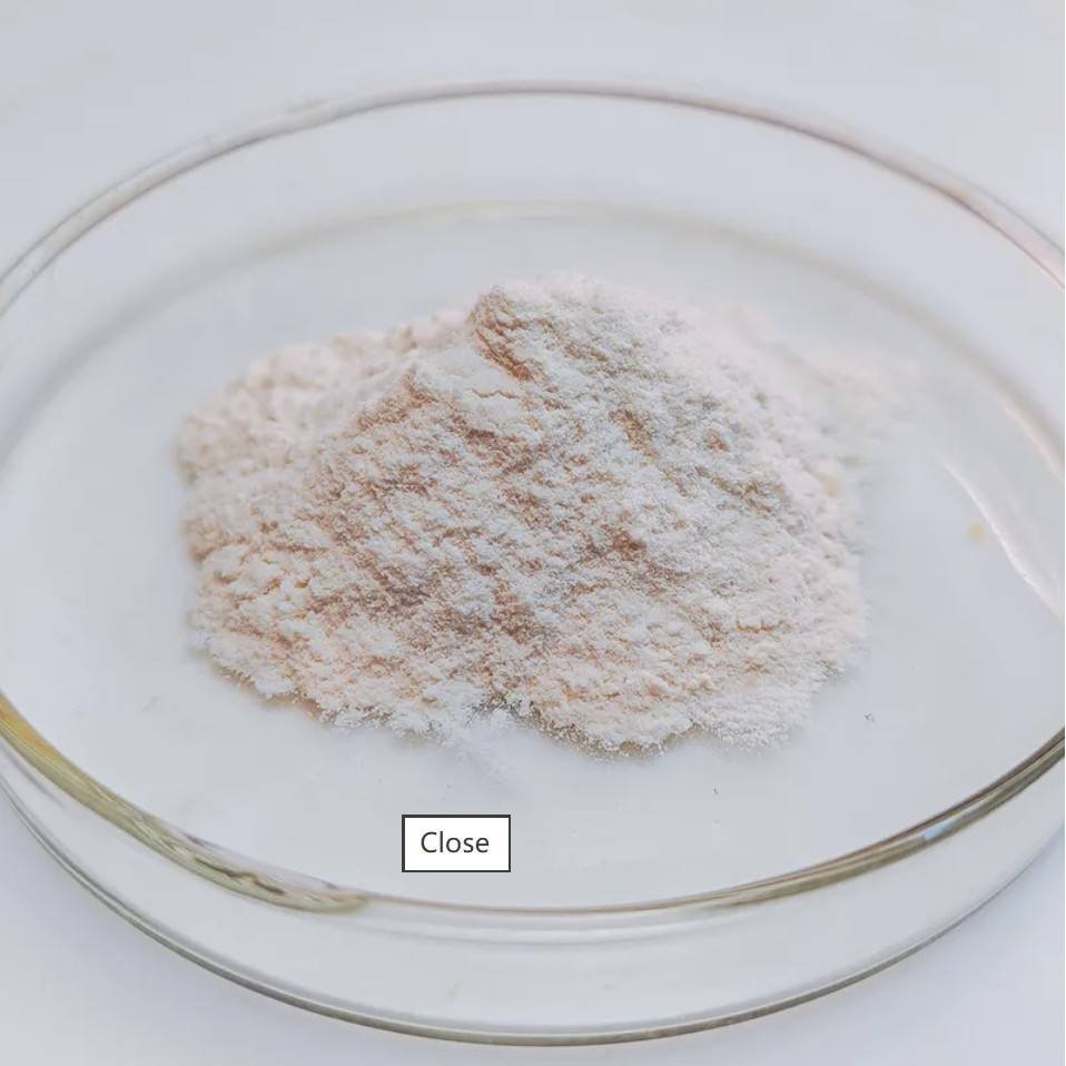 High Activity Alpha Amylase Enzyme for Starch Hydrolysis Brewing and Food Processing